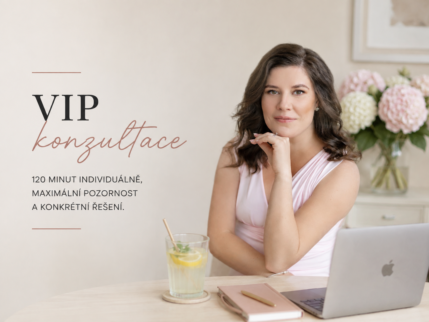 VIP konzultace